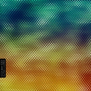 [Digital Proof] :: BRAIDS - Native Speaker (album art)