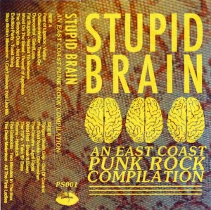Various Artists - Stupid Brain: An East Coast Punk Rock Compilation
