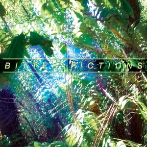 Bitter Fictions - Bitter Ficitons