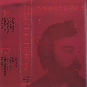 David and the Woods - David et les bois