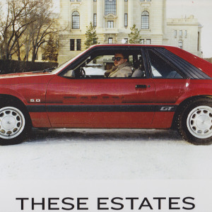These Estates - The Dignity of Man