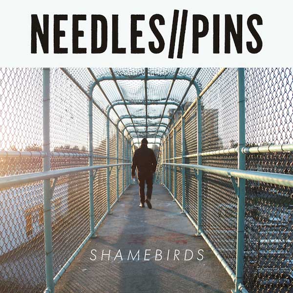 Needles//Pins - Shamebirds