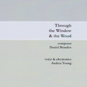 Daniel_Brandes-Though_the_Window-thumb